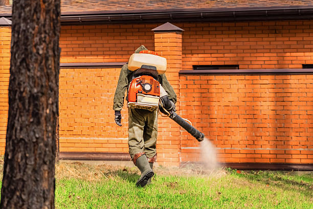 Trusted Termite Control service in Southeast Arcadia, FL - Nex Pest Control